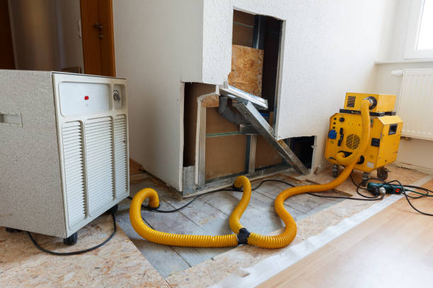 Best Mold Removal for HVAC Installations  in Prospect, PA